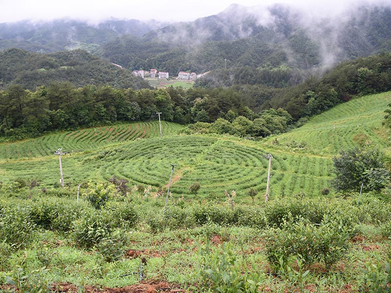淮南基地照片-15