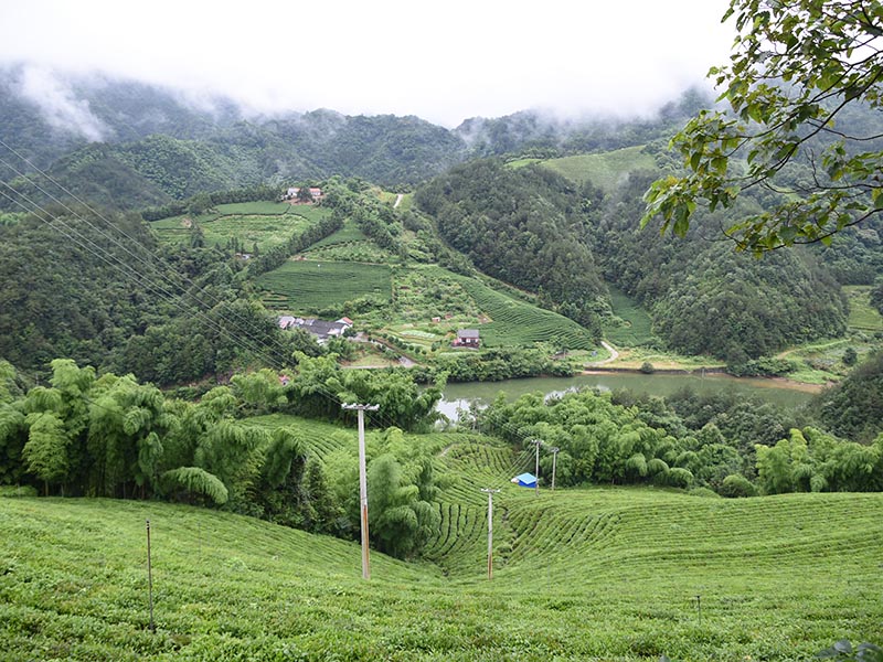 淮南基地照片-12