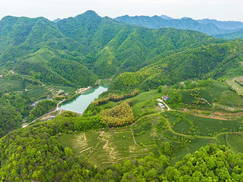 淮南基地照片-02